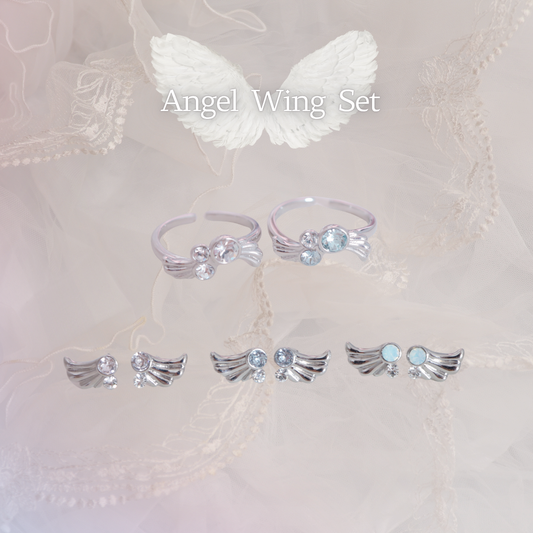 Angel Wing Set  ♡gift box付き♡