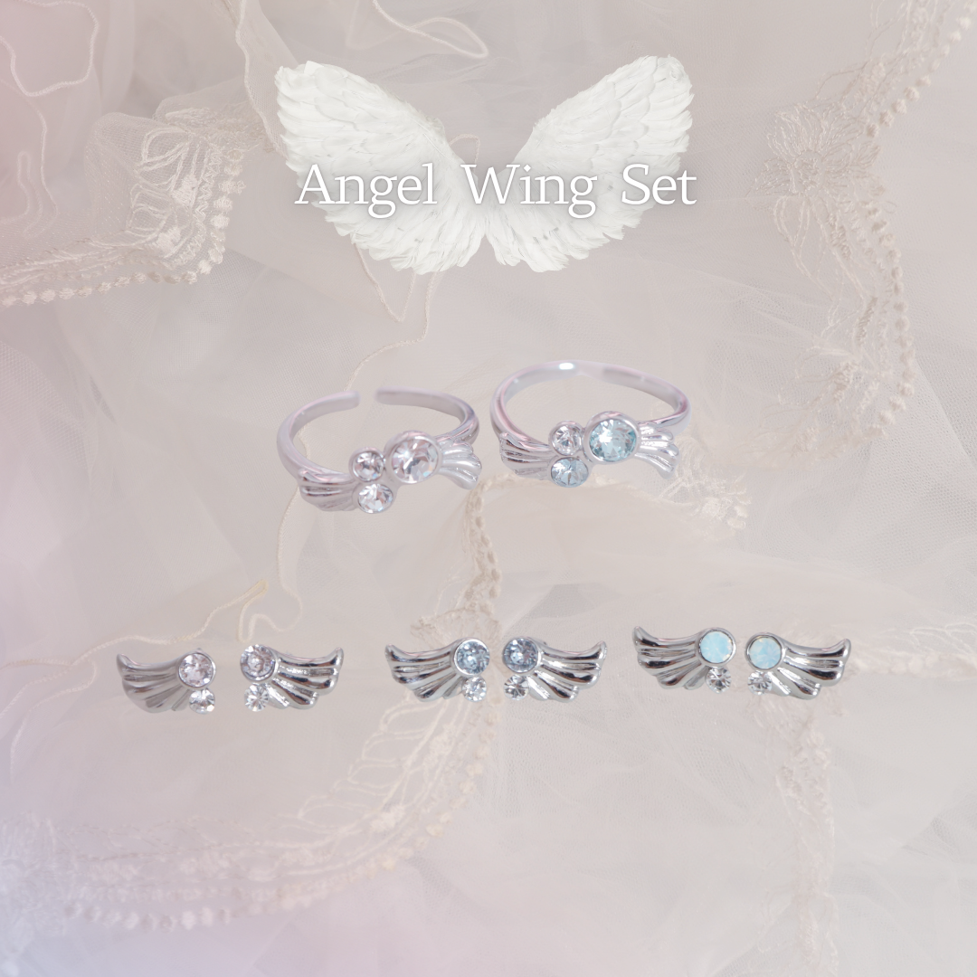 Angel Wing Set  ♡gift box付き♡